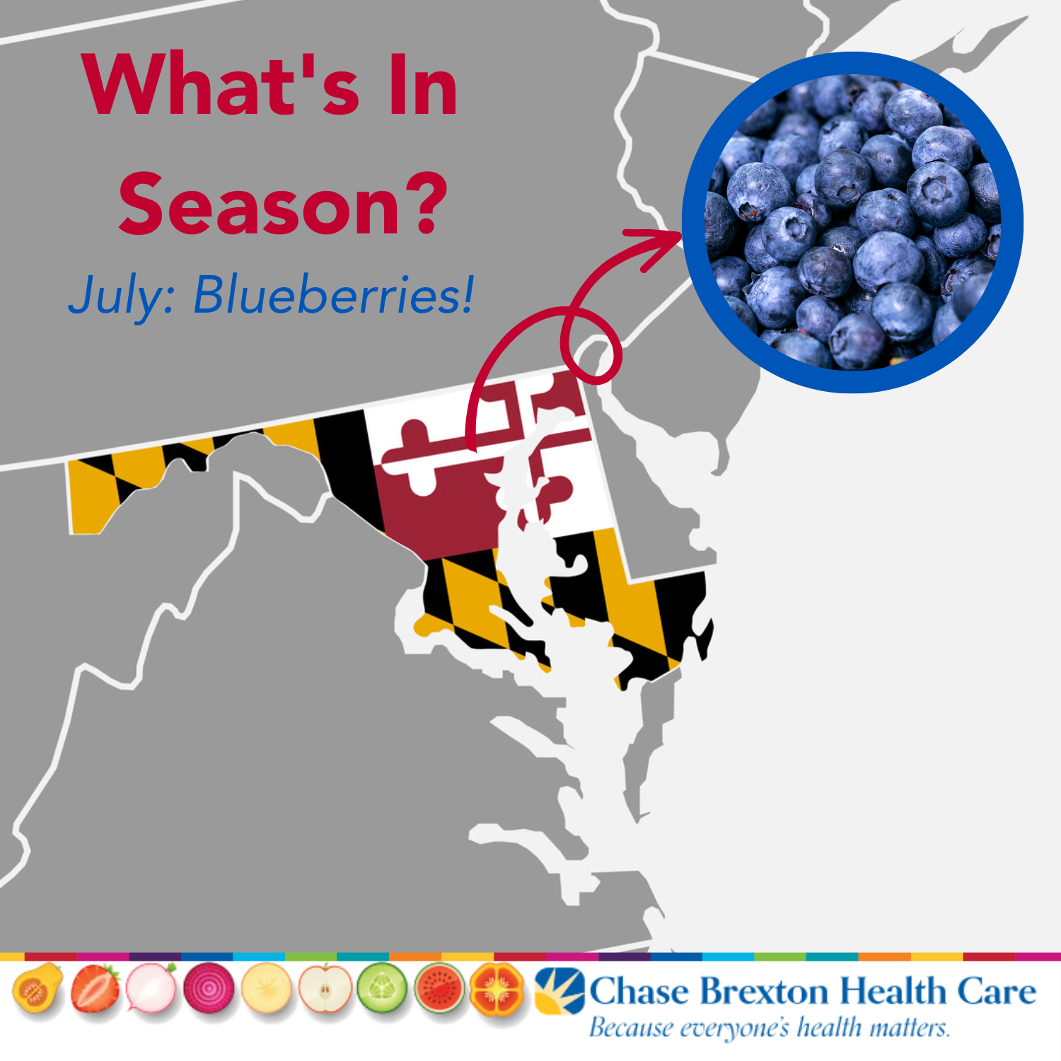 What's In Season? July: Blueberries