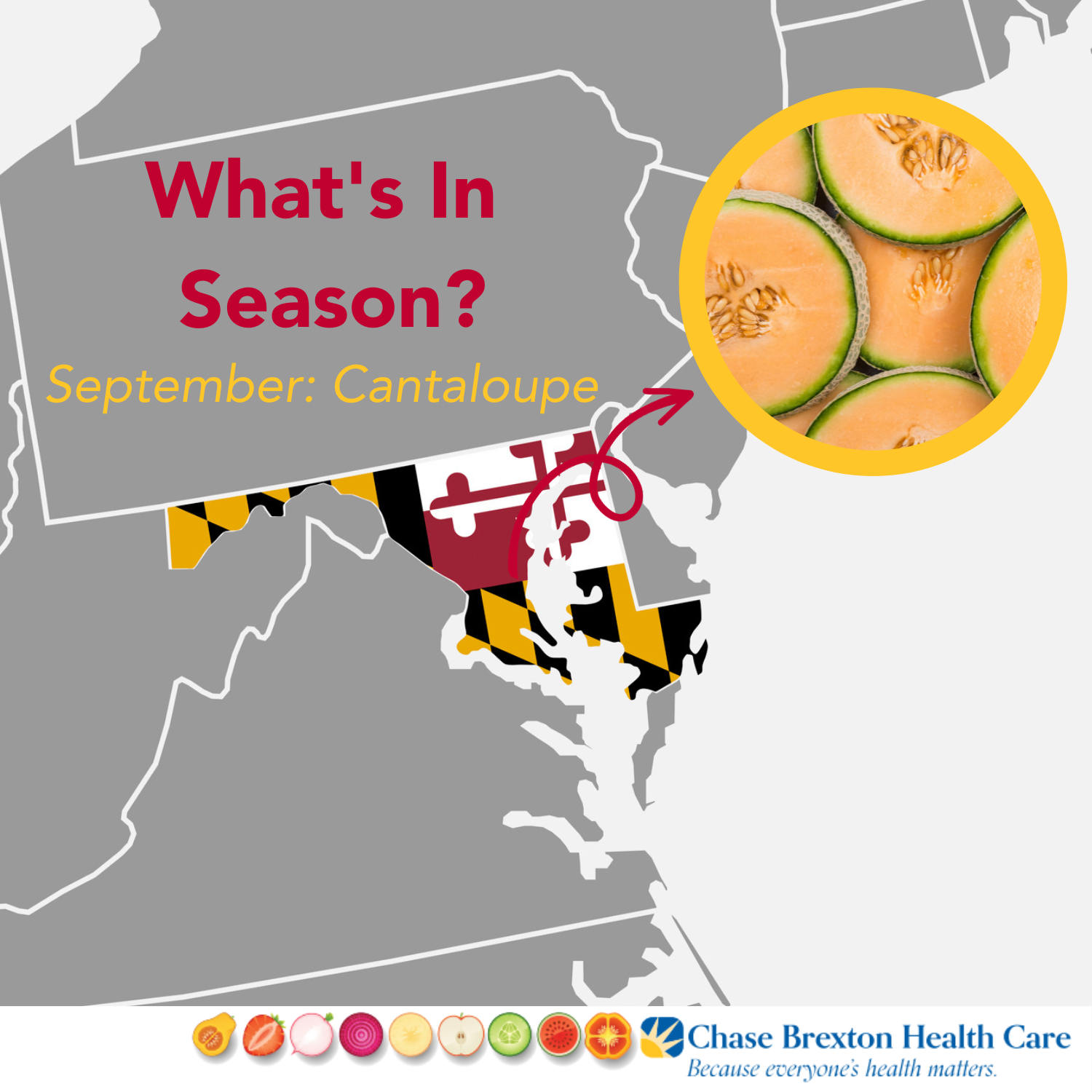 What's In Season? September: cantaloupe 