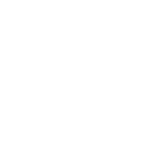 Services - Adult Primary Care