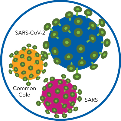 covid, questions, answers, vaccine, mrna