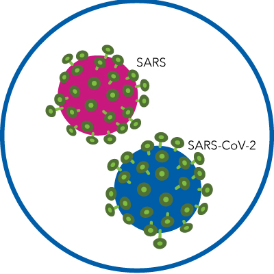 covid, questions, answers, vaccine, mrna