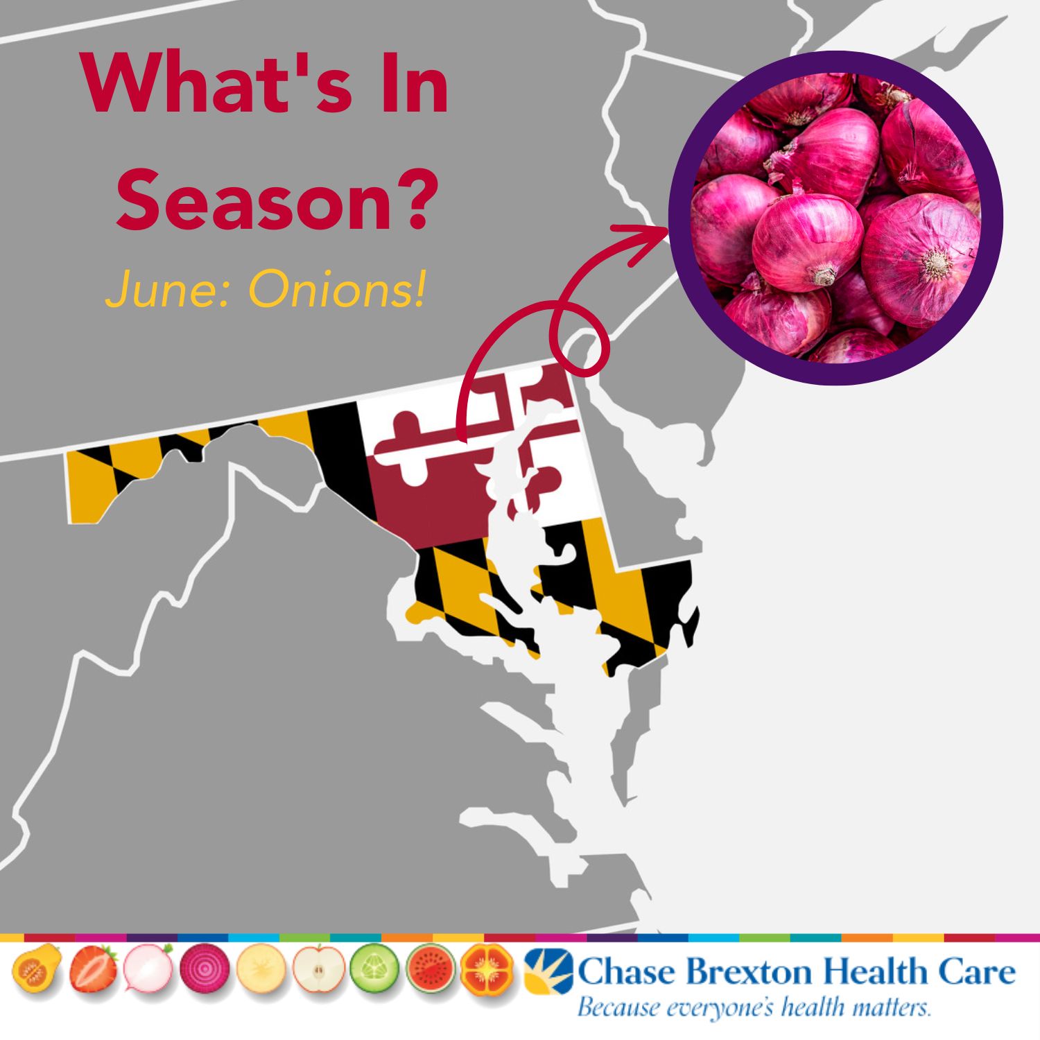 What's In Season? June: Onions! graphic of maryland state flag pointing to an image of purple onions 